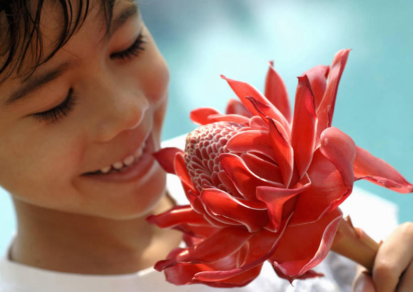 西方人,儿童,脸,头,脸颊,手,一个人,站,笑,微笑,露齿笑,横图,室内,特写,白天,正面,纯洁,欧洲,欧洲人,仅一个男性,仅一个人,握,服装,盛开,拿,花蕾,拿着,注视,休闲装,花,花瓣,花朵,鲜花,一朵,小孩,衣服,红色,白色,花苞,花蕊,低头,观察,看,站着,仅一个小孩,休闲,手部,休闲服,可爱,童年,童趣,握着,服饰,观看,单手,察看,关注,童真,烂漫,无邪,垂头,瓷玫瑰,火炬姜,天真,男孩,男人,男性,白种人,孩子,头部,脸部,脸蛋,面部,站立,半身,彩图,男生