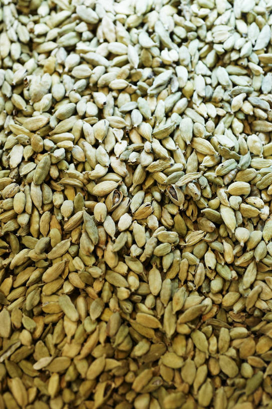 无人,竖图,俯视,室内,特写,白天,植物,一堆,许多,堆叠,堆积,调味,香料,佐料,草药,药草,很多,中药,堆,小豆蔻,配料,药材,中草药,中药材,本草,作料,消食,三角豆蔻,印度豆蔻,彩图,高角度拍摄