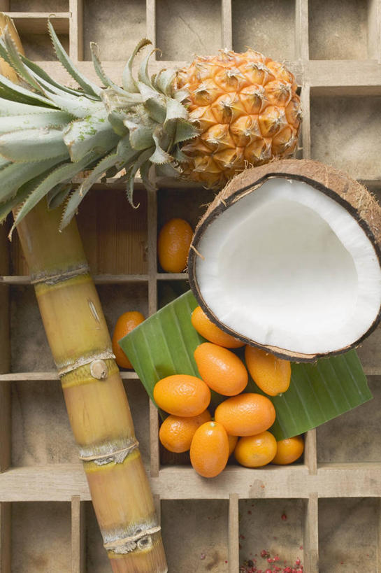 无人,竖图,俯视,室内,特写,白天,餐桌,桌子,菠萝,椰子,水果,叶子,一堆,许多,阴影,堆叠,堆积,新鲜,反射,影子,生食,食品,果实,绿叶,甘蔗,很多,食物,黄色,白色,金橘,嫩叶,金桔,有机食品,绿色食品,餐台,堆,金弹,金柑,金枣,洋奶桔,大椰,胥余,椰瓢,越王头,牛奶桔,糖蔗,竹蔗,叶,叶片,凤梨,彩图,高角度拍摄