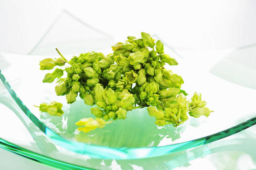 无人,横图,俯视,室内,特写,白天,白色背景,烹饪,幸福,纯洁,桌面,桌子,餐具,玻璃,阴影,反射,木制,碟子,盘,影子,料理,食品,泰式,菜肴,美食,泰国料理,玻璃制品,食物,一个,盘子,木制品,碟,独立,摄影,佳肴,影棚,单个,夜来香,美好,泰菜,泰国菜,泰式料理,反叛,夜香花,彩图,高角度拍摄,影棚拍摄,拍摄