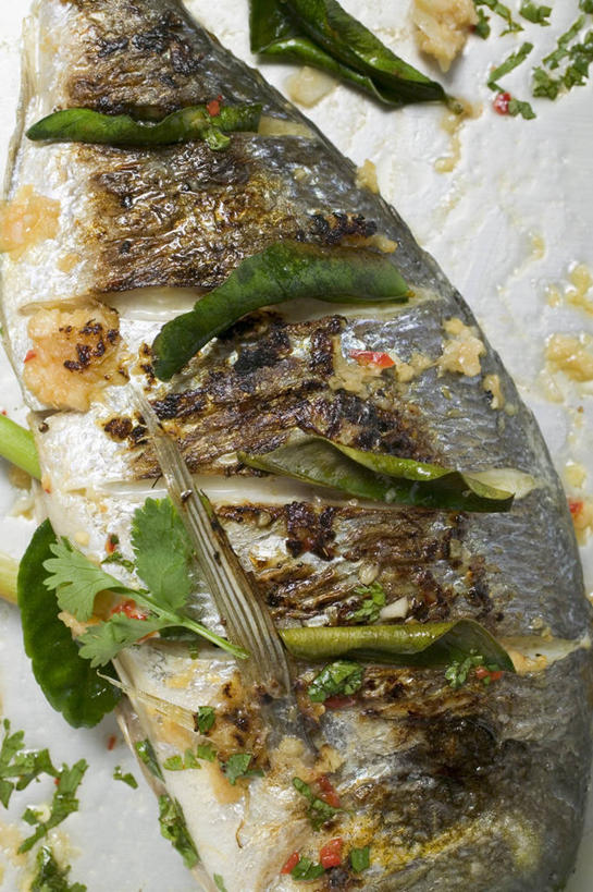 海鲜,无人,竖图,俯视,室内,特写,白天,植物,桌面,桌子,叶子,阴影,反射,木制,纹理,影子,肉,鱼肉,绿叶,鲷鱼,水产,肉类,海洋生物,绿色,木制品,嫩叶,鲷,加吉鱼,铜盆鱼,水生动物,海产品,水生物,肉食,海底动物,柠檬叶,肌理,班加吉,加真鲷,叶,叶片,叶脉,彩图,高角度拍摄,黎檬,洋柠檬,大西洋鲷,大西洋王鲷,金头鲷