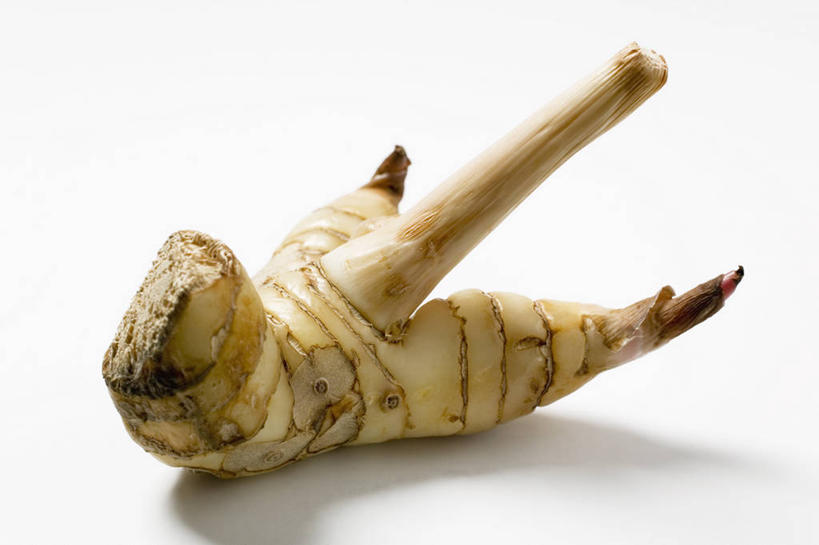 无人,横图,俯视,室内,特写,白天,白色背景,植物,餐桌,桌子,阴影,反射,影子,草药,药草,中药,一个,摄影,影棚,单个,餐台,药材,中草药,高良姜,中药材,本草,风姜,枫姜,高凉姜,良姜,蛮姜,小良姜,彩图,高角度拍摄,影棚拍摄,拍摄