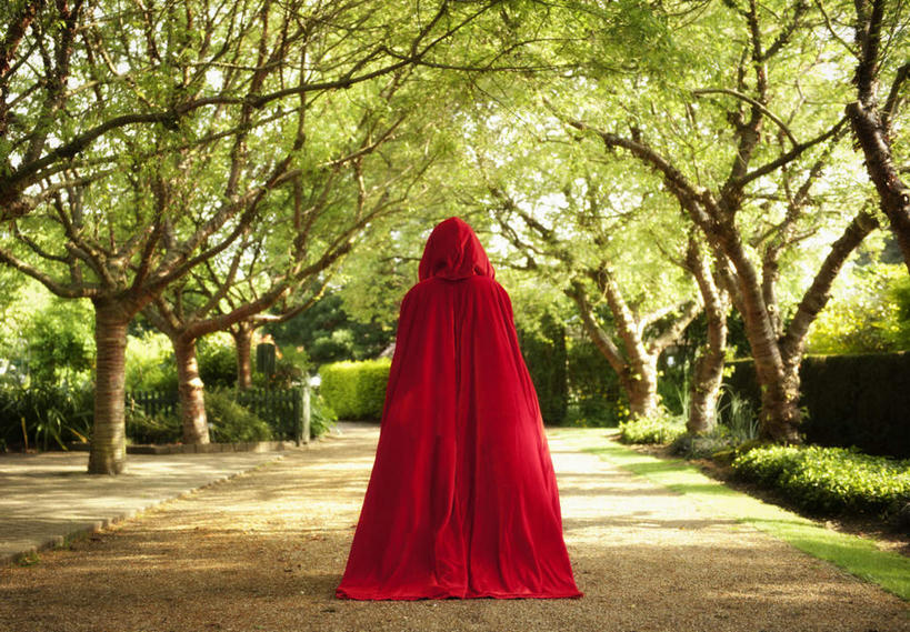 西方人,一个人,站,横图,室外,白天,童话故事,植物,欧洲,欧洲人,仅一个年轻女性,仅一个女性,仅一个人,阴影,光线,影子,注视,树,树木,背面,红色,绿色,阳光,自然,观察,看,站着,生长,成长,观看,察看,关注,小红帽,斗篷,大氅,大灰狼,格林童话,童话,年轻女性,女人,女性,白种人,站立,彩图,全身