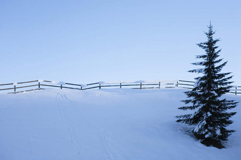 无人,横图,室外,白天,正面,旅游,度假,美景,雪,植物,大雪,松树,德国,欧洲,一棵,阴影,光线,影子,积雪,景观,雪景,冬季,冬天,娱乐,树,树木,蓝色,绿色,蓝天,天空,阳光,自然,天,享受,休闲,景色,放松,寒冷,生长,晴朗,成长,西欧,自然风光,坚定,万里无云,德意志联邦共和国,长寿,严寒,贞洁,巴伐利亚,巴伐利亚州,拜恩州,拜恩自由州,晴空,晴空万里,彩图,上巴伐利亚行政区