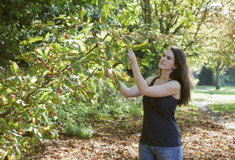 西方人,一个人,站,摸,横图,室外,白天,正面,草地,草坪,植物,欧洲,欧洲人,仅一个年轻女性,仅一个女性,仅一个人,抚摸,阴影,服装,裤子,光线,背心,影子,注视,牛仔裤,草,树,树木,衣服,绿色,阳光,自然,观察,看,摘,站着,服饰,生长,成长,观看,察看,衣着,穿着,关注,衣饰,年轻女性,女人,女性,白种人,长发,触摸,接触,站立,半身,彩图