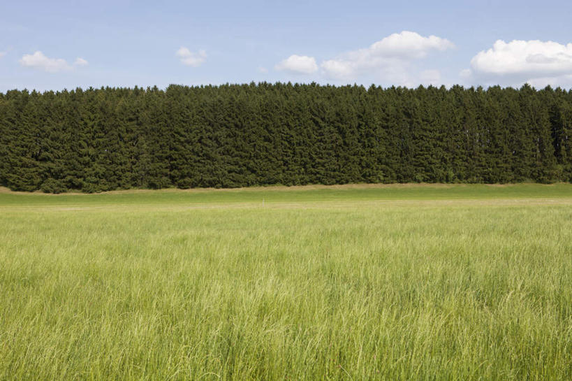 无人,横图,室外,白天,正面,旅游,度假,草地,草坪,美景,植物,德国,欧洲,环保,景观,云,云朵,防护,云彩,娱乐,草,树,树木,蓝色,绿色,白云,蓝天,天空,自然,天,享受,休闲,景色,放松,生长,晴朗,成长,西欧,美好,美妙,自然风光,间隔,德意志联邦共和国,美观,雅观,绿篱,生篱,树篱,植篱,晴空,彩图