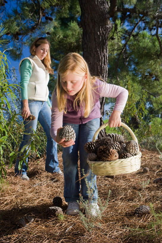 西方人,儿童,中年人,两个人,家庭,母亲,女儿,站,交叉,竖图,室外,白天,正面,纯洁,植物,竹子,欧洲,欧洲人,握,阴影,竹制,服装,编织,光线,篮子,影子,坚果,果实,松果,拿,拿着,注视,休闲装,树,树木,小孩,衣服,绿色,阳光,自然,竹篮,干果,观察,看,站着,休闲,温暖,温馨,母女,一家人,休闲服,可爱,母爱,童年,童趣,提,握着,服饰,生长,成长,观看,竹条,交织,和睦,察看,提着,竹制品,松塔,关注,童真,烂漫,无邪,穿插,天真,女孩,女人,女性,中年女性,白种人,孩子,站立,彩图,全身,融洽,女生