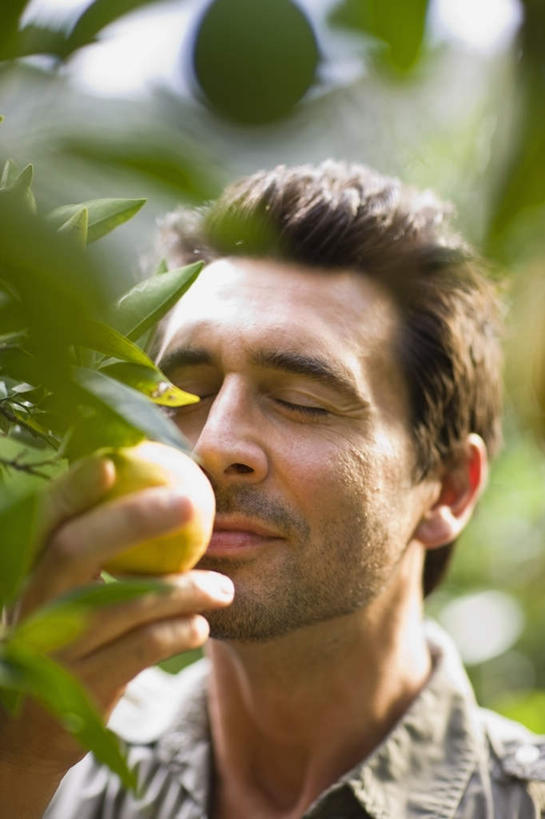 西方人,脸,头,脸颊,手,一个人,果园,站,闭眼,竖图,室外,特写,白天,正面,田园,植物,柑橘,水果,叶子,欧洲,欧洲人,仅一个男性,仅一个人,仅一个中年男性,服装,朦胧,模糊,新鲜,生食,食品,果实,果树,绿叶,休闲装,闻,树,树木,食物,衣服,绿色,自然,站着,休闲,手部,休闲服,嫩叶,服饰,有机食品,绿色食品,生长,成长,单手,嗅,田庄,园子,男人,男性,中年男性,白种人,头部,脸部,脸蛋,面部,叶,叶片,橘子,桔子,橙子,橙,闭眼睛,闭着眼,闭着眼睛,站立,半身,彩图