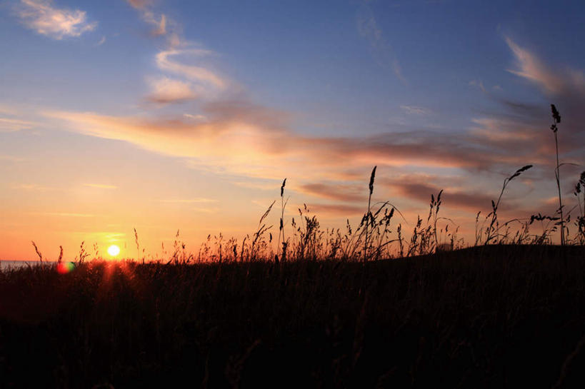 无人,横图,室外,白天,正面,旅游,度假,草地,草坪,美景,日落,植物,瑞典,欧洲,景观,晚霞,霞光,云,云朵,落日,背光,云彩,娱乐,草,蓝色,绿色,蓝天,天空,自然,黄昏,天,享受,休闲,景色,彩霞,放松,斯堪的纳维亚,自然风光,北欧,斯堪的那维亚,斯堪的那维亚半岛,斯堪的纳维亚半岛,逆光,瑞典王国,夕照,夕阳,彩图,眩光,斯堪尼省,斜阳