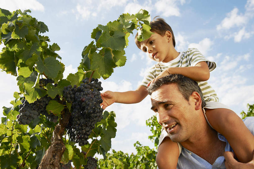西方人,儿童,中年人,两个人,家庭,父亲,儿子,果园,站,笑,摸,微笑,露齿笑,横图,室外,白天,仰视,衬衫,纯洁,田园,葡萄,水果,欧洲,欧洲人,抚摸,阴影,服装,新鲜,光线,影子,云,云朵,生食,食品,果实,云彩,注视,休闲装,葡萄园,架子,食物,小孩,骑,衣服,蓝色,白云,蓝天,天空,阳光,庄园,天,观察,看,扛,站着,休闲,温暖,温馨,父子,一家人,休闲服,父爱,可爱,童年,童趣,服饰,有机食品,绿色食品,晴朗,观看,支撑,固定,和睦,察看,关注,葡萄架,童真,烂漫,无邪,扛在肩上,骑在肩上,天真,男孩,男人,男性,中年男性,白种人,孩子,晴空,山葫芦,蒲桃,草龙珠,触摸,接触,站立,半身,彩图,低角度拍摄,衬衣,融洽,男生