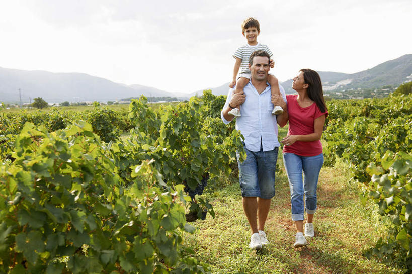 西方人,儿童,中年人,三个人,家庭,夫妻,母亲,父亲,儿子,果园,走,笑,微笑,露齿笑,横图,室外,白天,正面,衬衫,爱情,纯洁,草地,草坪,山,田园,植物,欧洲,欧洲人,阴影,服装,光线,影子,山峰,山峦,浪漫,注视,休闲装,葡萄园,架子,草,小孩,骑,衣服,红色,绿色,天空,阳光,庄园,天,观察,看,扛,休闲,温暖,温馨,父子,母子,三口之家,一家人,休闲服,恩爱,父爱,可爱,母爱,童年,童趣,恋人,服饰,观看,支撑,固定,和睦,察看,关注,葡萄架,童真,烂漫,无邪,扛在肩上,骑在肩上,天真,男孩,男人,男性,女人,女性,中年男性,中年女性,白种人,孩子,夫妇,情侣,步行,散步,走路,彩图,全身,衬衣,伴侣,融洽,男生