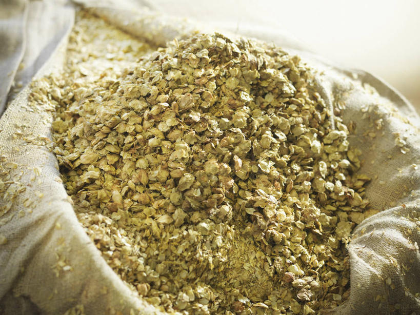 无人,横图,俯视,室内,特写,白天,静物,袋子,一堆,许多,堆叠,堆积,透明,啤酒花,很多,辉煌,麻袋,黄色,容器,健康,活泼,希望,储藏,堆,暖色,酒花,储存,光辉,忽布,蛇麻花,酵母花,光明,功名,轻快,彩图,高角度拍摄,贮存