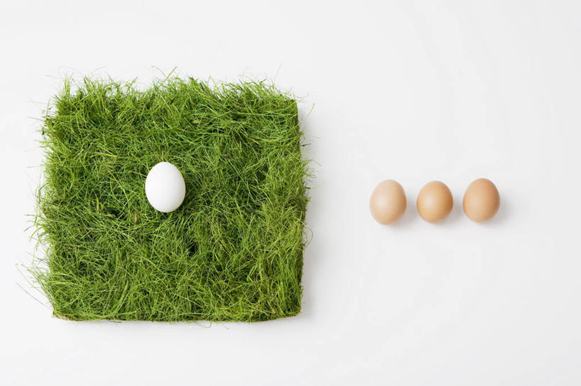 无人,横图,俯视,室内,特写,白天,白色背景,草地,草坪,植物,一块,一排,整齐,图形,正方形,蛋,鸡蛋,褐色,几何,草,排列,绿色,白色,草皮,四个,摄影,影棚,队列,数学,草鸡蛋,卵,彩图,高角度拍摄,影棚拍摄,拍摄,几何图形,平面图形,正四边形