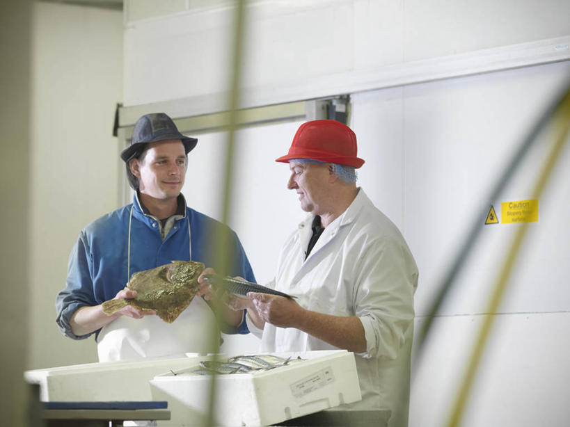 海鲜,西方人,两个人,伙伴,朋友,站,横图,室内,白天,正面,工作服,制服,友谊,合作,团队,厨房,帽子,欧洲,欧洲人,许多,握,阴影,服装,反射,鱼,影子,很多,拿,鲭鱼,拿着,注视,水产,鱼类,海洋生物,工人,衣服,容器,观察,看,站着,战略,握着,服饰,观看,储藏,花池鱼,花鲱,花鳀,青花鱼,鲐鲅鱼,油胴鱼,察看,衣着,储存,穿着,关注,水生动物,海产品,水生物,海底动物,大菱鲆,联合,合谋,工作制服,衣饰,瘤棘鲆,配合,协作,男人,男性,中年男性,白种人,站立,半身,彩图,工作套服,灶间,贮存