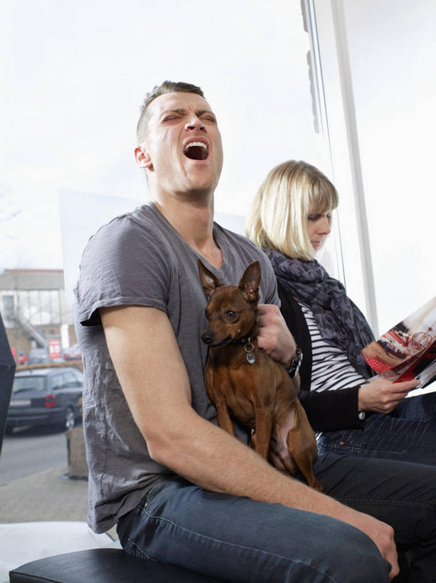 西方人,两个人,坐,闭眼,竖图,室内,白天,正面,爱情,阅读,窗户,宠物,狗,杂志,欧洲,欧洲人,学习,阴影,服装,反射,影子,吉娃娃,浪漫,注视,休闲装,玻璃窗,一只,衣服,动物,低头,观察,看,张嘴,休闲,温暖,温馨,休闲服,恩爱,可爱,读书,浏览,恋人,服饰,观看,和睦,察看,哈欠,关注,张大嘴巴,忠诚,芝娃娃,奇娃娃,吉娃娃犬,齐花花,男人,男性,女人,女性,中年男性,中年女性,白种人,情侣,张开嘴,犬,闭眼睛,闭着眼,闭着眼睛,坐着,半身,彩图,伴侣,融洽