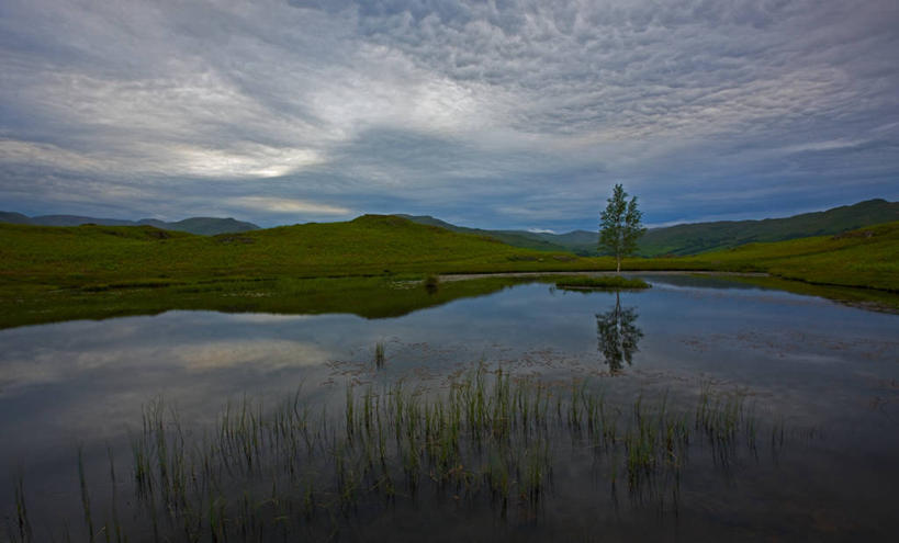 无人,公园,横图,室外,白天,正面,旅游,度假,草地,草坪,湖,湖泊,美景,山,山脉,水,植物,英国,欧洲,阴影,光线,影子,湖面,景观,山峰,水流,水面,云,云朵,山峦,云彩,娱乐,英格兰,草,树,树木,蓝色,绿色,白云,蓝天,天空,阳光,自然,湖水,群山,天,享受,休闲,景色,放松,生长,晴朗,成长,沼泽,国家公园,西欧,自然风光,大不列颠,大不列颠及北爱尔兰联合王国,池沼,英吉利,坎布里亚,坎布里亚郡,湖区,湖区国家公园,英国湖区国家公园,晴空,彩图,行政区,大不列颠王国,大英帝国,联合王国,日不落帝国,西北英格兰