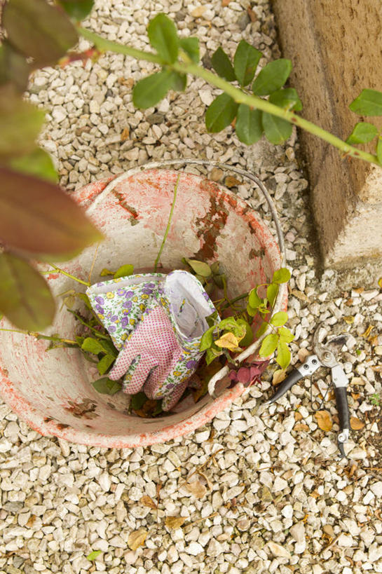 无人,竖图,俯视,室外,特写,白天,安全,植物,花盆,修剪,阴影,光线,工具,剪刀,盆栽,影子,园艺工具,陶瓷,园艺,防护,盆景,陶瓷制品,绿色,阳光,自然,容器,手套,生长,成长,储藏,保护,裁剪,剪子,剪裁,切割,储存,保险,保全,周全,安稳,安定,防护手套,篱笆剪,整篱剪,平安,彩图,高角度拍摄,大平剪,绿篱剪,贮存