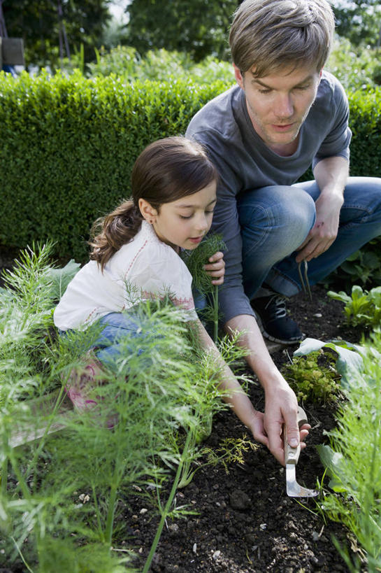 西方人,儿童,中年人,两个人,家庭,父亲,女儿,农田,蹲,笑,微笑,露齿笑,竖图,室外,白天,正面,纯洁,庄稼,农作物,欧洲,欧洲人,握,修剪,服装,裤子,工具,剪刀,园艺工具,园艺,拿,拿着,注视,牛仔裤,休闲装,小孩,衣服,低头,观察,看,休闲,温暖,温馨,父女,一家人,休闲服,父爱,可爱,童年,童趣,握着,服饰,观看,裁剪,和睦,察看,剪子,剪裁,切割,关注,童真,烂漫,无邪,篱笆剪,整篱剪,天真,男人,男性,女孩,中年男性,白种人,孩子,蹲着,半身,彩图,耕地,庄稼田,大平剪,绿篱剪,融洽,女生