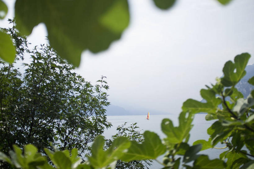 无人,横图,室外,白天,正面,旅游,度假,湖,湖泊,美景,水,植物,雾,意大利,欧洲,朦胧,模糊,湖面,景观,水流,水面,云,云朵,云彩,娱乐,树,树木,蓝色,绿色,白云,蓝天,天空,自然,湖水,天,享受,休闲,景色,放松,生长,晴朗,成长,迷雾,南欧,自然风光,伦巴第大区,意大利共和国,伦巴第,布雷西亚省,贝纳科湖,加尔达湖,大雾,晴空,彩图