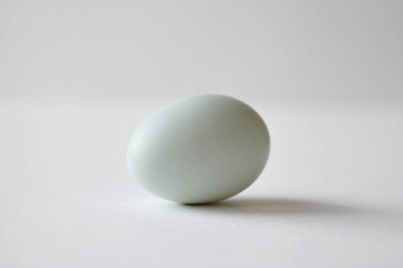 无人,横图,室内,特写,白天,白色背景,正面,阴影,反射,影子,蛋,鸡蛋,一个,白色,摄影,影棚,单个,草鸡蛋,卵,彩图,影棚拍摄,拍摄,本鸡蛋,笨鸡蛋,柴鸡蛋,山鸡蛋,土鸡蛋