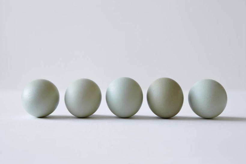 无人,横图,室内,特写,白天,白色背景,正面,五个,一排,许多,阴影,整齐,反射,影子,蛋,鸡蛋,排列,白色,摄影,影棚,队列,草鸡蛋,卵,彩图,影棚拍摄,拍摄,本鸡蛋,笨鸡蛋,柴鸡蛋,山鸡蛋,土鸡蛋