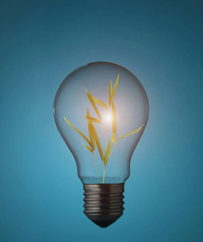 无人,竖图,室内,特写,白天,正面,叶子,照明,蓝色背景,环保,亮光,灯泡,绿叶,光亮,灯,一个,灯具,嫩叶,摄影,白炽灯,影棚,能源,单个,照亮,回收,资源,利用,低碳,循环,照明工具,白炽灯泡,梨形灯泡,梨形,持续,叶,叶片,彩图,影棚拍摄,拍摄