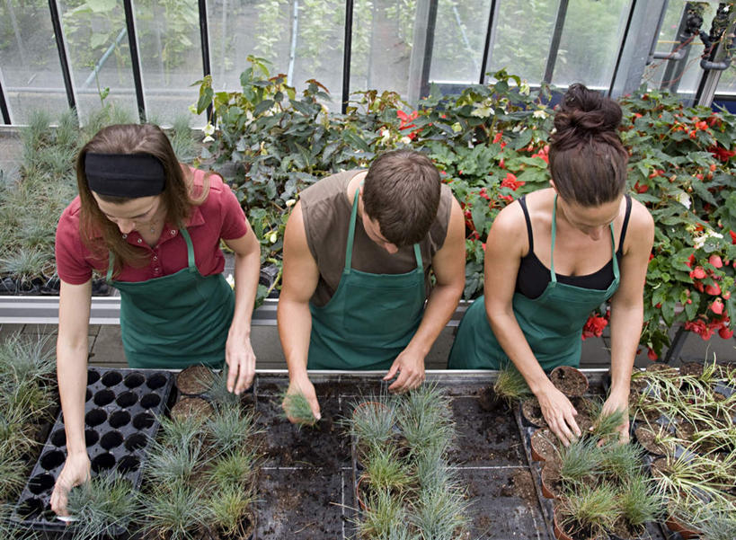 西方人,三个人,伙伴,朋友,店员,站,横图,俯视,室内,白天,友谊,合作,团队,植物,窗户,落地窗,欧洲,欧洲人,一排,握,服装,整齐,盆栽,围裙,盆景,拿,温室,拿着,注视,休闲装,玻璃窗,排列,衣服,绿色,自然,低头,观察,看,站着,营业员,休闲,休闲服,战略,握着,服饰,设施,生长,成长,观看,察看,暖房,防寒,队列,关注,加温,透光,保温,联合,合谋,销售人员,配合,协作,年轻女性,女人,女性,白种人,售货员,站立,半身,彩图,高角度拍摄