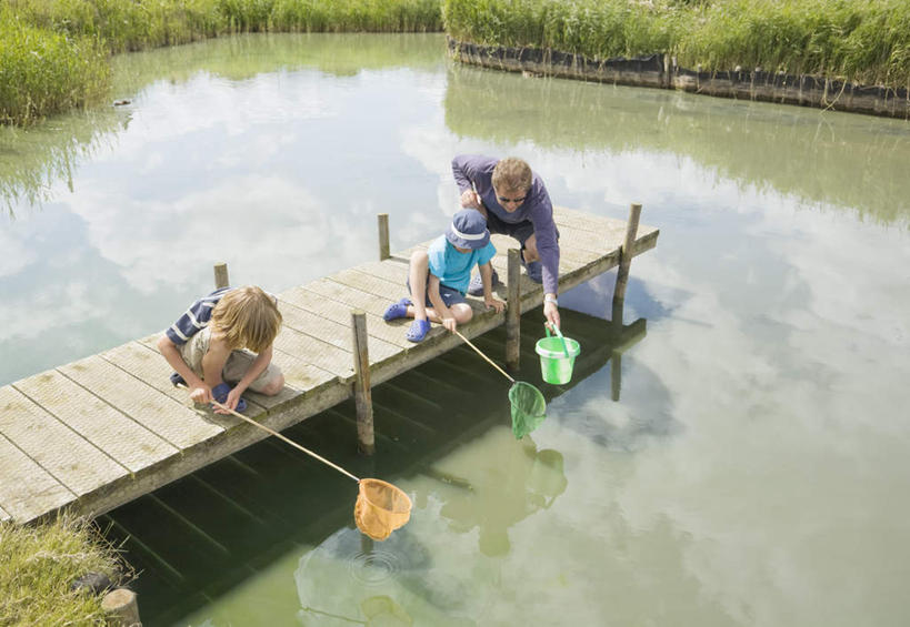 西方人,儿童,中年人,三个人,家庭,父亲,儿子,坐,蹲,横图,俯视,室外,白天,纯洁,草地,草坪,湖,湖泊,水,植物,帽子,欧洲,欧洲人,握,阴影,服装,光线,木板,桶,影子,塑料,湖面,水流,水面,桥,木桥,拿,拿着,注视,休闲装,栈桥,草,小孩,衣服,绿色,阳光,容器,塑料制品,遮阳帽,湖水,观察,看,休闲,温暖,温馨,父子,一家人,休闲服,父爱,可爱,童年,童趣,握着,服饰,渔网,观看,人行桥,木板桥,储藏,渔具,塑料桶,和睦,察看,储存,关注,抓捕,捕捞,鱼网,童真,烂漫,无邪,拉网,捕捞工具,天真,男孩,男人,男性,中年男性,白种人,孩子,蹲着,坐着,彩图,高角度拍摄,全身,钓鱼,融洽,贮存,男生