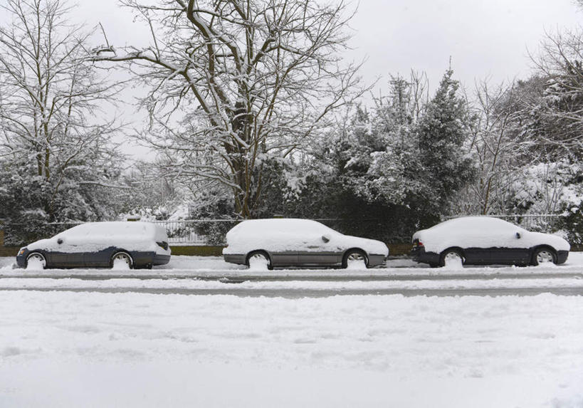 无人,横图,室外,白天,正面,度假,美景,雪,植物,大雪,城市风光,城市,道路,路,公路,汽车,三辆,积雪,景观,雪景,冬季,冬天,交通,娱乐,车,树,树木,绿色,天空,自然,交通工具,轿车,天,享受,休闲,景色,放松,寒冷,生长,成长,载具,抛锚,严寒,马路,彩图