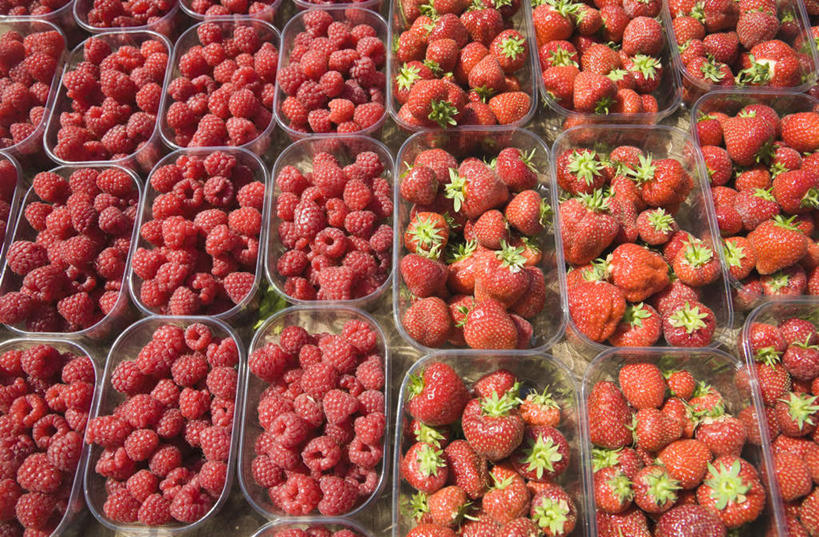 无人,菜场,横图,俯视,室外,特写,白天,购物,消费,草莓,浆果,水果,一堆,许多,堆叠,堆积,新鲜,桑葚,生食,食品,果实,集市,市场,食物,红色,覆盆子,金融,有机食品,绿色食品,堆,选购,贸易,菜市,洋莓,水果皇后,红莓,地莓,彩图,高角度拍摄,菜市场