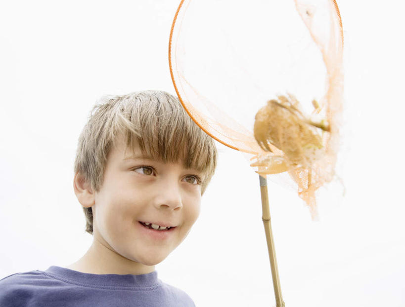 蟹,西方人,儿童,脸,头,脸颊,一个人,站,笑,微笑,露齿笑,横图,室外,特写,白天,仰视,T恤衫,纯洁,欧洲,欧洲人,仅一个男性,仅一个人,握,阴影,服装,光线,螃蟹,影子,棕色,拿,T恤,拿着,注视,休闲装,肩膀,一只,小孩,衣服,蓝色,天空,阳光,天,观察,看,站着,仅一个小孩,休闲,休闲服,可爱,童年,童趣,握着,服饰,渔网,观看,渔具,察看,关注,抓捕,捕捞,鱼网,童真,烂漫,无邪,拉网,捕捞工具,天真,男孩,男人,男性,白种人,孩子,头部,脸部,脸蛋,面部,站立,半身,彩图,低角度拍摄,短发,男生