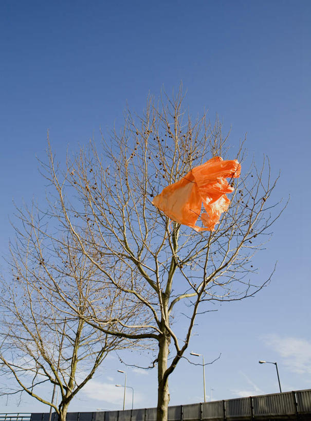 无人,竖图,室外,白天,仰视,美景,植物,袋子,吊挂,悬挂,阴影,光线,影子,塑料,墙,景观,云,云朵,围墙,挂,云彩,塑料袋,墙壁,墙面,树,树木,一个,蓝色,绿色,白云,蓝天,天空,阳光,自然,容器,塑料制品,天,橙色,景色,生长,晴朗,单个,成长,储藏,垃圾袋,储存,自然风光,阻碍,晴空,彩图,低角度拍摄,贮存