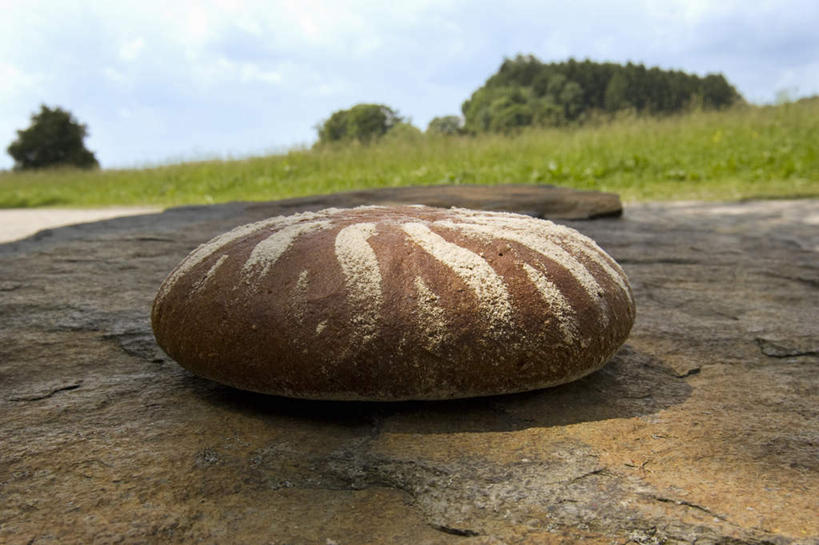 点心,面包,无人,横图,室外,特写,白天,正面,草地,草坪,树林,植物,阴影,光线,影子,云,云朵,食品,面点,云彩,草,树,树木,食物,糕点,一个,蓝色,绿色,白云,蓝天,天空,阳光,自然,天,生长,晴朗,单个,成长,晴空,彩图