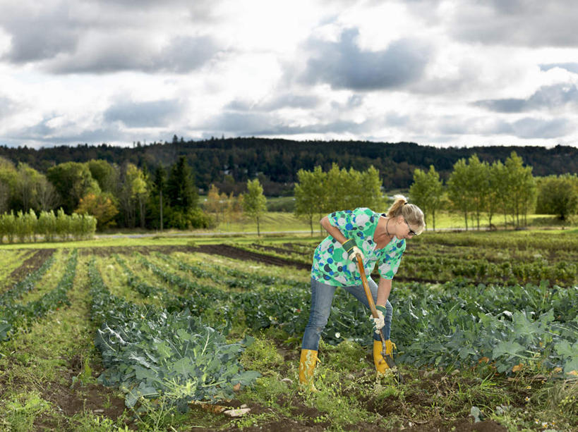 西方人,一个人,站,横图,室外,白天,正面,草地,草坪,树林,植物,鞋子,欧洲,欧洲人,仅一个女性,仅一个人,弯腰,握,阴影,服装,光线,铲子,影子,雨鞋,雨靴,云,云朵,拿,云彩,拿着,注视,休闲装,靴子,草,树,树木,衣服,蓝色,绿色,白云,蓝天,天空,阳光,自然,天,低头,观察,看,站着,仅一个中年女性,休闲,休闲服,握着,服饰,生长,晴朗,成长,观看,察看,关注,胶鞋,弯身,女人,女性,中年女性,白种人,晴空,站立,彩图,全身