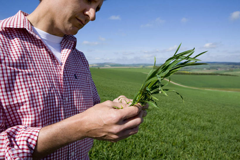 西方人,一个人,农田,站,横图,室外,白天,正面,庄稼,农作物,欧洲,欧洲人,仅一个男性,仅一个人,仅一个中年男性,握,阴影,服装,光线,影子,云,云朵,拿,麦田,云彩,拿着,注视,休闲装,衣服,蓝色,白云,蓝天,天空,阳光,天,低头,观察,看,站着,休闲,休闲服,握着,服饰,晴朗,观看,察看,关注,垂头,男人,男性,中年男性,白种人,晴空,站立,半身,彩图,耕地,庄稼田