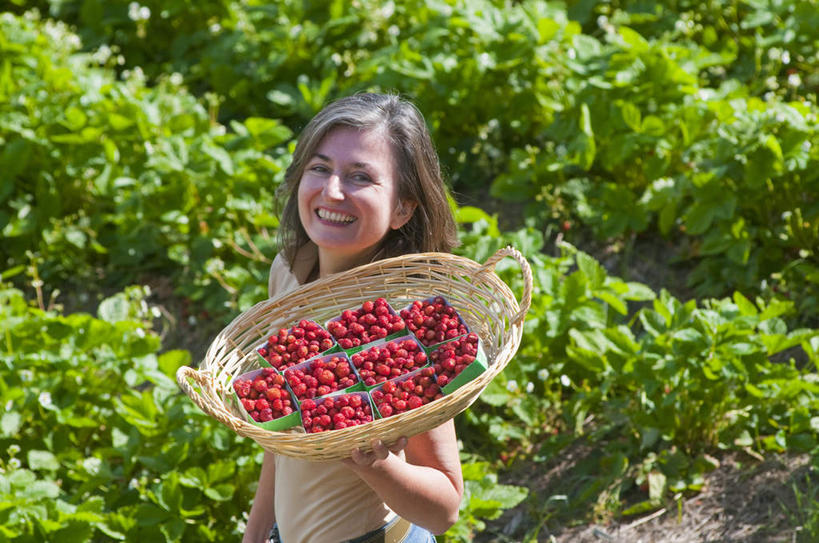 西方人,一个人,农田,农场,站,举,笑,交叉,微笑,露齿笑,横图,俯视,室外,白天,庄稼,农作物,植物,竹子,草莓,浆果,水果,欧洲,欧洲人,仅一个女性,仅一个人,许多,阴影,竹制,服装,新鲜,编织,光线,篮子,影子,生食,食品,果实,注视,休闲装,食物,衣服,红色,绿色,阳光,自然,竹篮,观察,看,托,站着,仅一个中年女性,休闲,休闲服,服饰,有机食品,绿色食品,生长,成长,观看,竹条,交织,察看,竹制品,关注,穿插,女人,女性,中年女性,白种人,洋莓,水果皇后,红莓,地莓,举起,举手,举着,向上举,向上伸,向上托,站立,半身,彩图,高角度拍摄,耕地,庄稼田