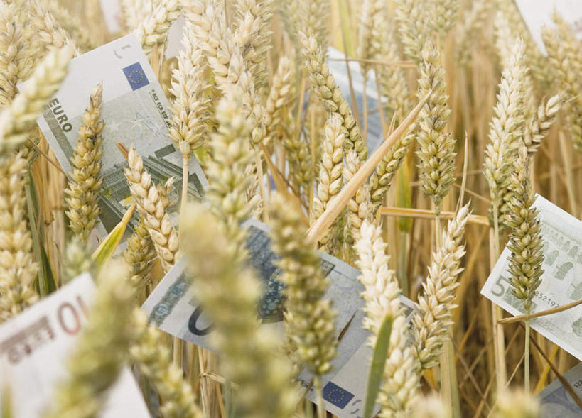 无人,农田,横图,室外,白天,正面,旅游,度假,钱,庄稼,农作物,美景,英国,欧洲,许多,阴影,丰收,朦胧,模糊,散落,光线,钱币,影子,景观,欧元,麦田,娱乐,英格兰,黄色,阳光,自然,享受,休闲,景色,放松,钞票,金融,纸币,收获,经济,西欧,自然风光,大不列颠,流通,纸钞,贸易,大不列颠及北爱尔兰联合王国,大不列颠联合王国,日不落英帝国,英吉利,诺坦普顿,货币,现金,彩图,耕地,庄稼田