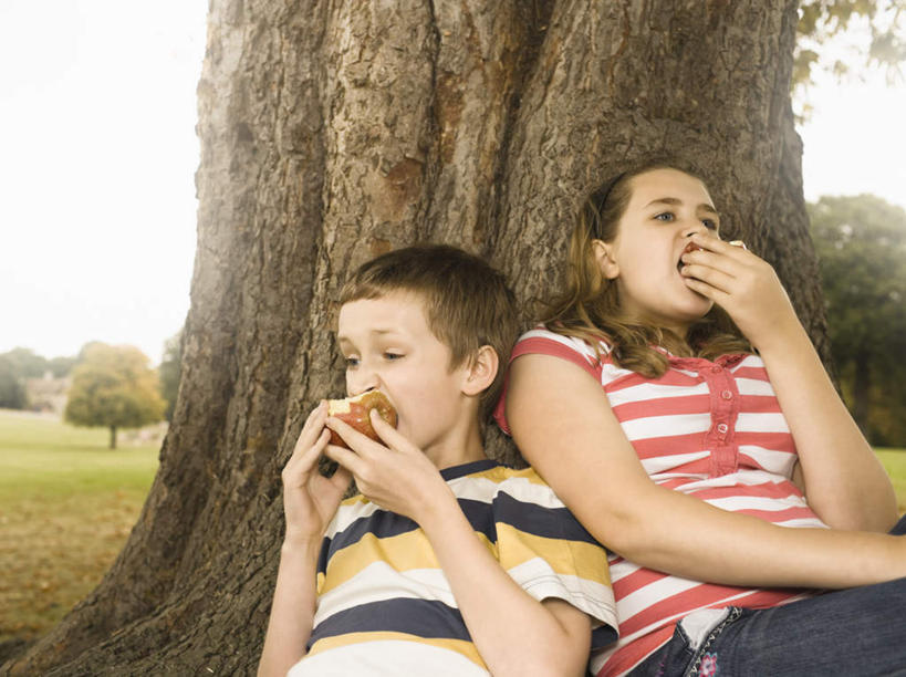 西方人,儿童,两个人,家庭,兄弟,姐妹,坐,吃,横图,室外,白天,正面,纯洁,草地,草坪,植物,苹果,水果,欧洲,欧洲人,握,阴影,条纹,服装,新鲜,光线,影子,生食,食品,果实,拿,拿着,注视,休闲装,草,树,树干,树木,食物,小孩,衣服,粉色,绿色,灰色,天空,阳光,自然,天,观察,看,休闲,温暖,温馨,一家人,休闲服,可爱,童年,童趣,握着,服饰,有机食品,绿色食品,生长,成长,观看,和睦,察看,关注,童真,烂漫,无邪,天真,男孩,男人,男性,女孩,女人,女性,白种人,嚼,食,坐着,半身,彩图,融洽,男生,女生