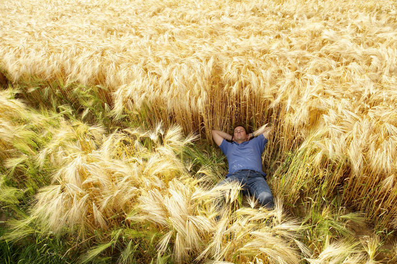 西方人,一个人,农田,躺,闭眼,睡,横图,俯视,室外,白天,T恤衫,庄稼,农作物,欧洲,欧洲人,仅一个男性,仅一个人,仅一个中年男性,阴影,服装,裤子,光线,影子,麦田,T恤,牛仔裤,休闲装,衣服,蓝色,阳光,休闲,休闲服,服饰,双手抱头,卧着,男人,男性,中年男性,白种人,闭眼睛,闭着眼,闭着眼睛,困,困觉,寝息,睡觉,躺着,卧,彩图,高角度拍摄,全身,耕地,庄稼田