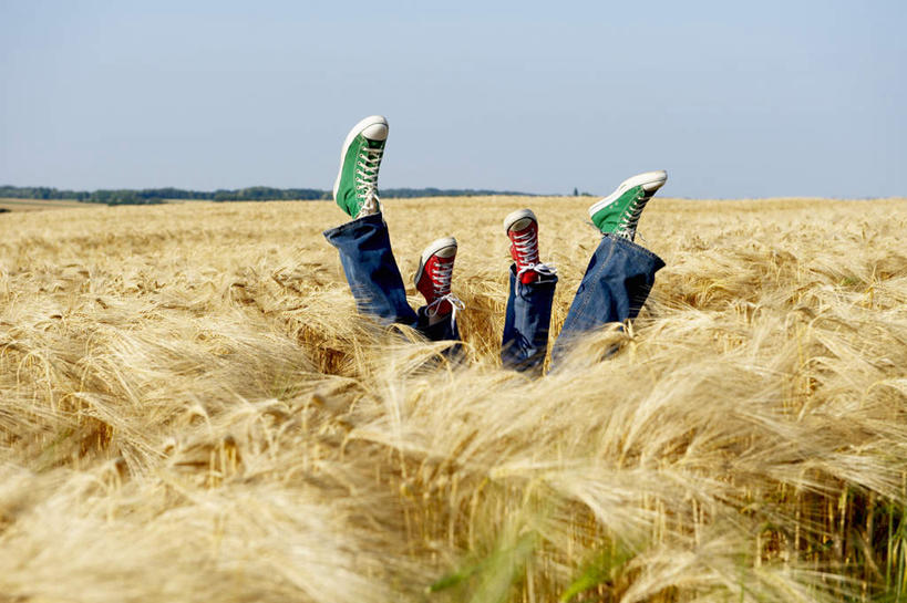 西方人,两个人,夫妻,农田,躺,横图,室外,白天,正面,爱情,庄稼,农作物,鞋子,欧洲,欧洲人,阴影,裤子,光线,影子,浪漫,麦田,抬腿,牛仔裤,蓝色,蓝天,天空,阳光,天,恩爱,恋人,晴朗,帆布鞋,休闲鞋,悬空,翘起,万里无云,卧着,男人,男性,年轻女性,女人,女性,中年男性,白种人,夫妇,情侣,晴空,晴空万里,躺着,卧,半身,彩图,耕地,庄稼田,伴侣