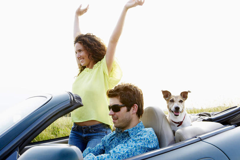 西方人,两个人,夫妻,站,坐,伸展双臂,笑,微笑,露齿笑,横图,室外,白天,侧面,衬衫,爱情,草地,草坪,植物,汽车,宠物,狗,欧洲,欧洲人,阴影,服装,光线,墨镜,眼镜,影子,棕色,跑车,浪漫,注视,休闲装,车,草,一只,衣服,蓝色,绿色,天空,阳光,动物,太阳镜,太阳眼镜,交通工具,天,观察,驾驶,开车,看,行驶,站着,休闲,休闲服,遮阳镜,恩爱,可爱,恋人,服饰,观看,操纵,控制,察看,关注,载具,敞篷跑车,操控,忠诚,把持,男人,男性,年轻女性,女人,女性,中年男性,白种人,长发,卷发,夫妇,情侣,犬,敞开双臂,伸开双臂,展开双肩,站立,张开手臂,张开双臂,坐着,半身,彩图,衬衣,伴侣