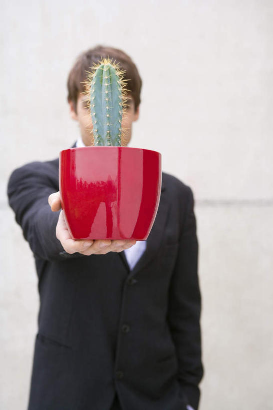 西方人,一个人,商务人士,商务男性,站,捧,竖图,室外,白天,正面,衬衫,植物,仙人掌,欧洲,欧洲人,仅一个男性,仅一个人,握,套装,盛开,火焰,盆栽,墙,草药,盆景,拿,花蕾,拿着,注视,中药,墙壁,墙面,花,花瓣,花朵,鲜花,仅一个年轻男性,红色,绿色,自然,花苞,花蕊,观察,看,站着,握着,遮,遮掩,生长,成长,观看,察看,掩盖,遮挡,关注,药材,中草药,商务装,工薪阶层,遮盖,中药材,本草,牛舌头,掩饰,男人,男性,年轻男性,白种人,白领,上班族,玉芙蓉,仙巴掌,火掌,霸王树,端,端着,捧着,手捧,站立,半身,彩图,衬衣