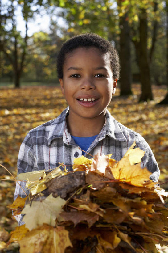 西方人,儿童,一个人,站,捧,笑,微笑,露齿笑,竖图,室外,白天,正面,纯洁,植物,叶子,欧洲,非洲,黑人,欧洲人,仅一个男性,仅一个人,一堆,许多,阴影,堆叠,堆积,服装,光线,影子,枯叶,落叶,很多,注视,休闲装,树,树木,小孩,衣服,绿色,阳光,自然,观察,看,站着,仅一个小孩,休闲,休闲服,可爱,童年,童趣,服饰,生长,成长,观看,堆,察看,关注,童真,烂漫,无邪,天真,男孩,男人,男性,非洲人,孩子,叶,叶片,端,端着,捧着,手捧,站立,半身,彩图,男生