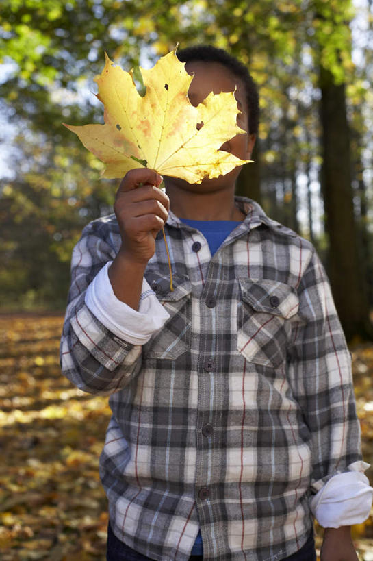 西方人,儿童,一个人,站,竖图,室外,白天,正面,纯洁,植物,叶子,欧洲,非洲,黑人,欧洲人,仅一个男性,仅一个人,握,阴影,服装,光线,影子,枯叶,落叶,拿,拿着,注视,休闲装,树,树木,小孩,衣服,绿色,阳光,自然,观察,看,站着,仅一个小孩,休闲,休闲服,可爱,童年,童趣,握着,遮,遮掩,服饰,生长,成长,观看,察看,掩盖,遮挡,关注,童真,烂漫,无邪,遮盖,掩饰,天真,男孩,男人,男性,非洲人,孩子,叶,叶片,站立,半身,彩图,男生