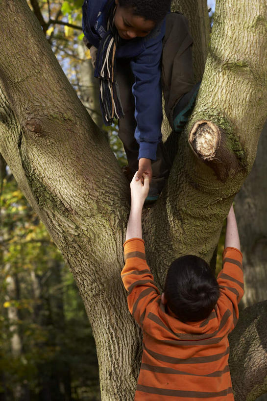 西方人,儿童,背部,两个人,伙伴,朋友,站,举,竖图,室外,白天,正面,友谊,纯洁,植物,叶子,欧洲,非洲,黑人,欧洲人,弯腰,服装,装饰,枯叶,落叶,注视,休闲装,树,树木,小孩,衣服,绿色,自然,围巾,观察,看,伸,托,站着,休闲,温暖,休闲服,可爱,童年,童趣,服饰,生长,成长,围脖,观看,保暖,华丽,点缀,察看,御寒,关注,童真,烂漫,无邪,弯身,衬托,美观,雅致,雅观,天真,友情,男孩,男人,男性,白种人,非洲人,叶,叶片,举起,举手,举着,抬头,向上举,向上伸,向上托,仰头,站立,半身,彩图,男生