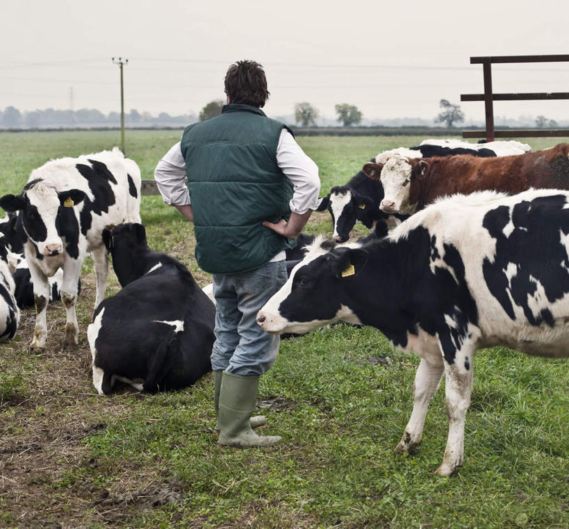 西方人,一个人,栏杆,站,横图,室外,白天,草地,草坪,植物,牛,欧洲,欧洲人,仅一个男性,仅一个人,仅一个中年男性,许多,阴影,花纹,服装,光线,影子,云,云朵,围栏,乳牛,很多,云彩,休闲装,手叉腰,护栏,草,背面,衣服,蓝色,绿色,白云,蓝天,天空,阳光,动物,天,叉腰,站着,休闲,休闲服,家畜,服饰,牲畜,晴朗,双手叉腰,斑纹,男人,男性,中年男性,白种人,晴空,奶牛,抬头,仰头,站立,彩图,全身