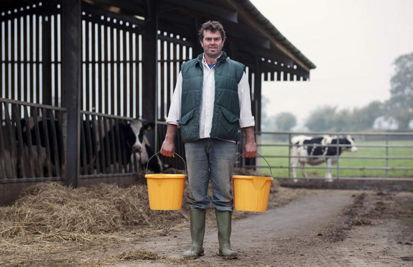 西方人,一个人,栏杆,站,横图,室外,白天,正面,草地,草坪,植物,道路,路,牛,欧洲,欧洲人,仅一个男性,仅一个人,仅一个中年男性,许多,握,阴影,花纹,服装,光线,桶,影子,塑料,云,云朵,围栏,小路,干草,乳牛,交通,很多,拿,云彩,拿着,注视,休闲装,护栏,草,树,树木,两个,衣服,黄色,蓝色,绿色,白云,蓝天,天空,阳光,自然,动物,容器,塑料制品,草垛,天,观察,看,站着,休闲,休闲服,家畜,握着,服饰,牲畜,生长,晴朗,成长,观看,储藏,塑料桶,察看,储存,关注,斑纹,干草垛,男人,男性,中年男性,白种人,晴空,奶牛,站立,彩图,全身,贮存