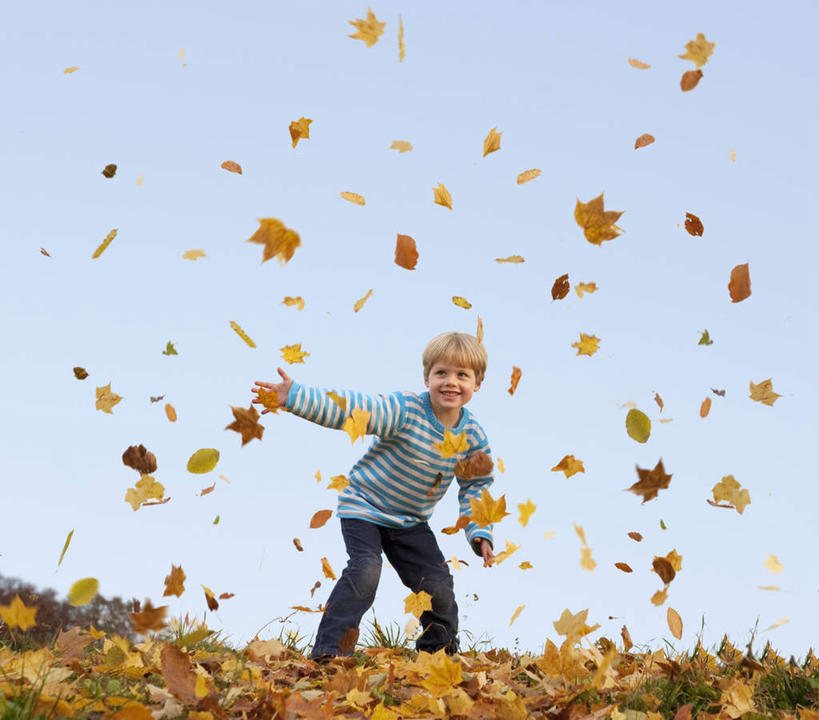 西方人,儿童,一个人,站,伸展双臂,横图,室外,白天,仰视,纯洁,叶子,欧洲,欧洲人,仅一个男性,仅一个人,许多,服装,枫叶,枯叶,落叶,很多,注视,休闲装,小孩,衣服,黄色,红色,蓝色,蓝天,天空,天,观察,看,站着,仅一个小孩,休闲,休闲服,可爱,童年,童趣,服饰,晴朗,观看,枫树叶,察看,关注,童真,烂漫,无邪,万里无云,天真,男孩,男人,男性,白种人,孩子,叶,叶片,晴空,晴空万里,敞开双臂,抛,扔,伸开双臂,展开双肩,站立,张开手臂,张开双臂,彩图,低角度拍摄,全身,男生