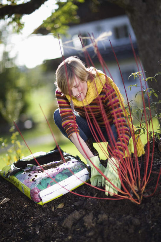 西方人,一个人,家,蹲,竖图,室外,白天,正面,农业,植物,欧洲,欧洲人,仅一个年轻女性,仅一个女性,仅一个人,弯腰,握,服装,装饰,肥料,铲子,房屋,屋子,泥土,土壤,拿,拿着,注视,休闲装,楼房,住宅,树,树木,衣服,绿色,自然,手套,围巾,观察,看,休闲,温暖,休闲服,握着,服饰,生长,成长,围脖,观看,保暖,华丽,点缀,察看,御寒,关注,弯身,衬托,美观,雅致,雅观,营养元素,年轻女性,女人,女性,白种人,蹲着,彩图,全身,房子
