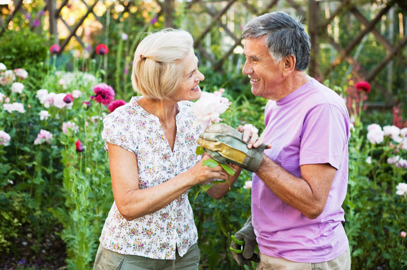 西方人,老年人,两个人,家庭,夫妻,栏杆,站,笑,微笑,露齿笑,横图,室外,白天,正面,爱情,幸福,纯洁,热情,安全,玫瑰,欧洲,欧洲人,握,服装,盛开,栅栏,篱笆,围栏,玫瑰花,防护,浪漫,拿,花蕾,拿着,注视,休闲装,护栏,花,花瓣,花朵,鲜花,衣服,手套,花苞,花蕊,观察,看,站着,休闲,温暖,温馨,一家人,休闲服,恩爱,握着,恋人,服饰,观看,保护,和睦,察看,关注,保险,感动,保全,周全,安稳,安定,尊敬,防护手套,平安,天真,刺玫花,徘徊花,老年男性,老年女性,男人,男性,女人,女性,白种人,夫妇,情侣,站立,半身,彩图,伴侣,融洽
